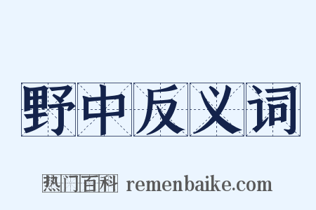 野中反义词是什么意思的图片